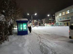 “Похожа на елочную игрушку”: бердчанин рассказал о необычной остановке