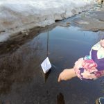 Весна в этом году обещает быть аномально теплой️