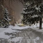 Бердчан ожидает долгожданное потепление