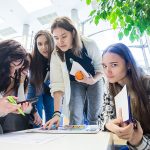 В Новосибирской области в рамках нацпроекта «Кадры» запускают систему индивидуальных карьерных маршрутов для молодежи