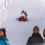 Союз отцов в Новосибирске раскритиковал инициативу о запрете снежных горок