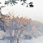 «Мы пережили неделю крепких морозов, но расслабляться не нужно!»