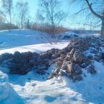 В КБУ Бердска продолжаются бороться с мусором в канализации с помощью грабель