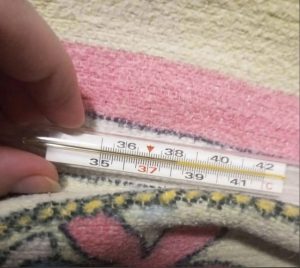 Очередная волна ОРВИ накрывает Бердск