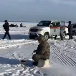 Бердчанам напомнили об опасности выезда на лёд на автомобилей