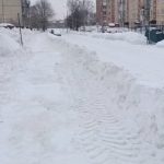 Бердчанку возмутил “забор” из снега