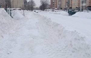 Бердчанку возмутил “забор” из снега