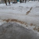 Из-за аномальной погоды бердчане с трудом добрались до работы