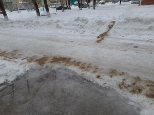 Из-за аномальной погоды бердчане с трудом добрались до работы