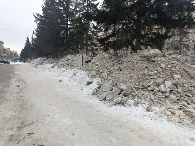 С 31 участка вывезли за неделю снег в Бердске