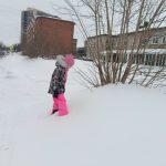 Прохладные ночи и теплые дни ждут бердчан в начале новой рабочей недели