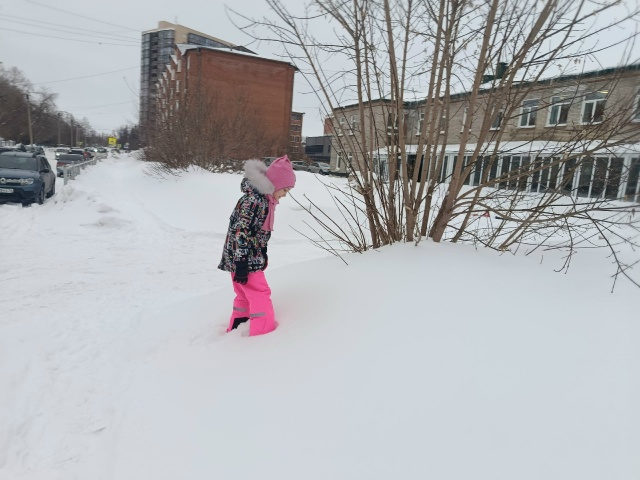 Прохладные ночи и теплые дни ждут бердчан в начале новой рабочей недели