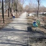 Убирают мусор в ЭкоПарке “Школьный” в Бердске