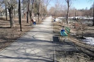 Убирают мусор в ЭкоПарке “Школьный” в Бердске