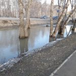 Бердск высыхает и продолжает очищаться от снега и грязи