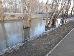 Бердск высыхает и продолжает очищаться от снега и грязи