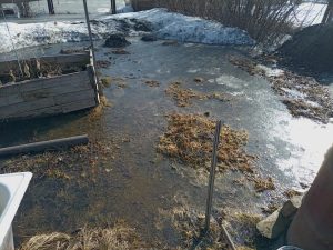 “Вот что у нас началось!” – жители улицы Партизанской в Бердске с ужасом ждут весны