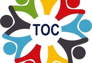 ТОС в Бердске: первые шаги и проектная деятельность