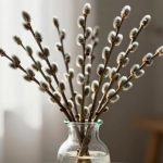 Сегодня в России празднуют Вербное воскресенье