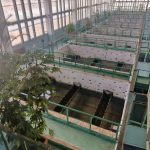 Горячее водоснабжение в Бердске подключают постепенно