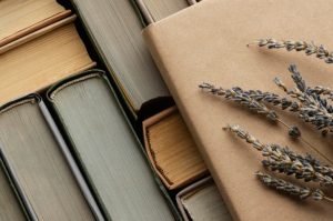 Бердчан пригласили на Библионочь-2026