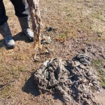 Коммунальщики Бердска устранили подпор в районе улицы Возрождение — переулка Дивный