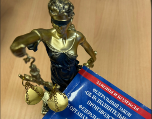 Расширен перечень имущества, на которое не может быть обращено взыскание