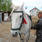 Участник СВО в Бердске создал конный военно-патриотический клуб