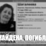 В Бердске завершены поиски 72-летней женщины