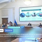 Несмотря на жаркое лето пожароопасный сезон в области проходит спокойно