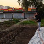 Регулярно поливают подрастающую рощу в Бердске