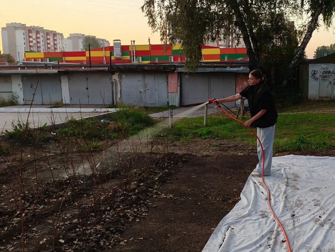 Регулярно поливают подрастающую рощу в Бердске