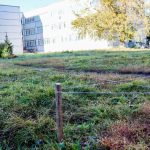 Во дворе второй школы в Бердске оборудуют площадку в рамках проекта «Территория детства»
