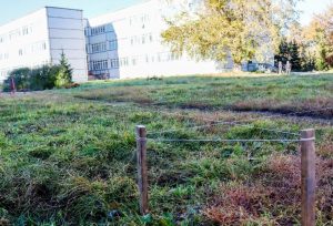 Во дворе второй школы в Бердске оборудуют площадку в рамках проекта «Территория детства»