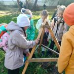 Первоклассники из Бердска посадили плакучую иву и взяли над ней шефство