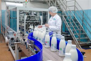 «Молочные реки» — в берега эффективности: чановский комбинат вступил в федпроект