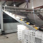 Новосибирский завод нарастит выпуск геомембраны без расширения штата
